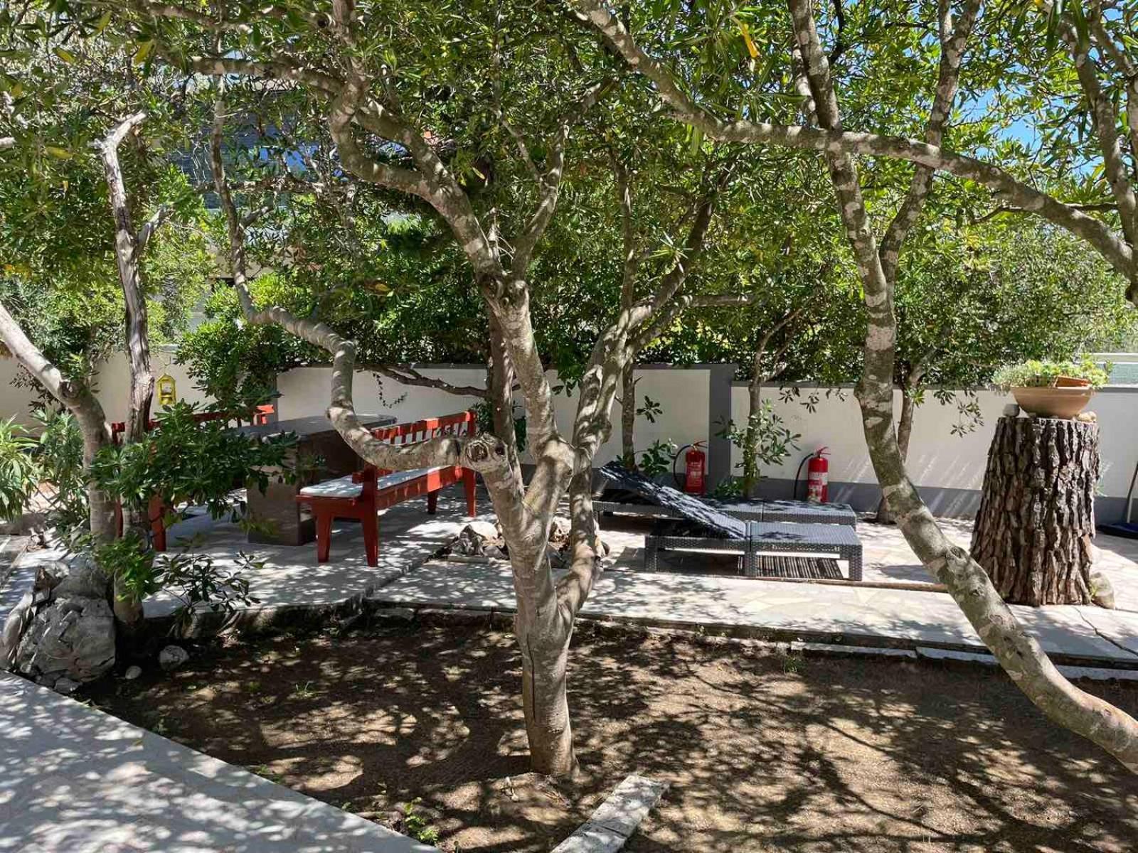 פובליאנה Villa Pagar - With Jacuzzi - Renovated In 2022 מראה חיצוני תמונה