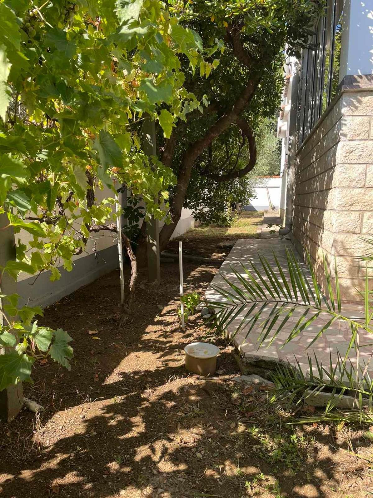 פובליאנה Villa Pagar - With Jacuzzi - Renovated In 2022 מראה חיצוני תמונה